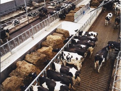 Kuilblokschuif_4 Kuilblokschuif_4